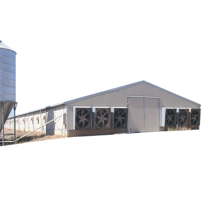 Easy Built Prefabricated Automatic Poultry House For 10000 Chickens Manufacturer