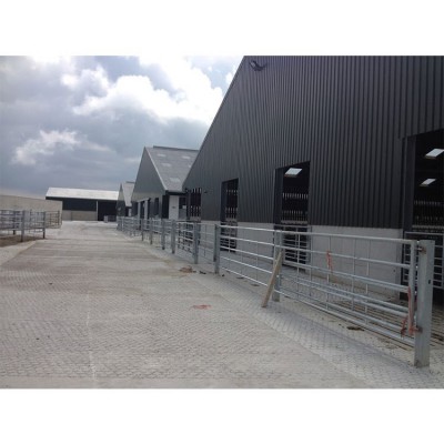 Prefabricated cow house steel structure for dairy farming