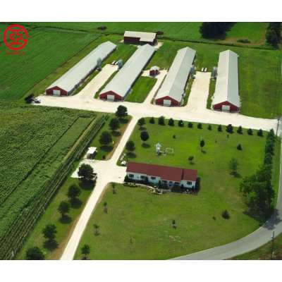 Large Poultry Chicken Houses Farm Building for sale